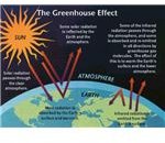 The Effects of Global Warming on Animal Behavior