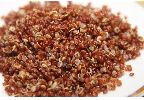 Red Quinoa