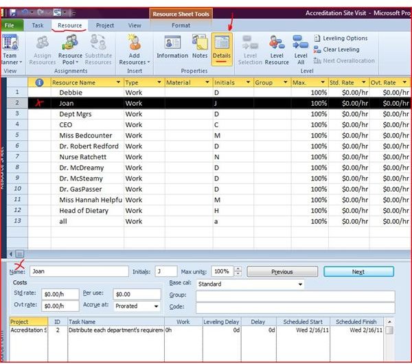 Project and Excel- Resource list with Details showing