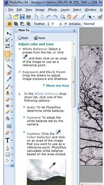 How-To Panel