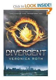 Divergent Book Review & Discussion Questions: Check Out This Hot New Young Adult Read