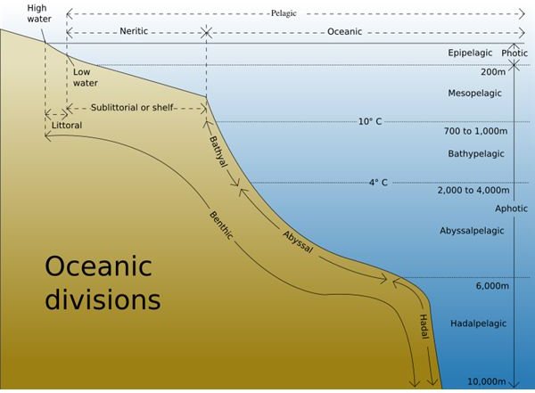 Oceanic Divisions