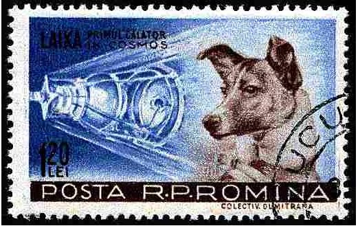 A Few Facts about the Russian Space Dogs Including Laika, the Most Famous