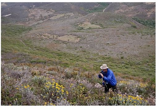 What Are the Top Biologist Types of Work?