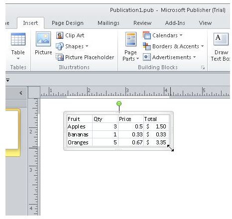 publisher excel 08