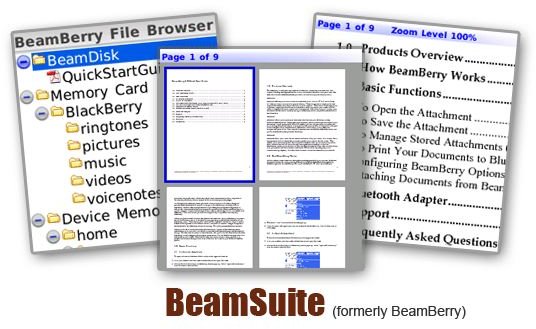 BeamSuite