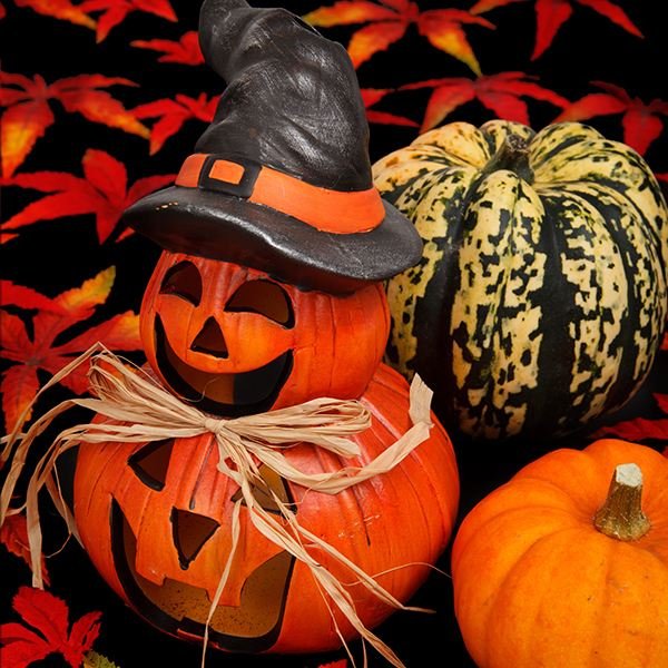 Thrilling Halloween Lesson Plans and Ideas That Will Give Your Students a Treat