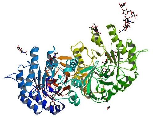 Fabry Disease Explained:  Understanding the Genetics of Fabry Disease