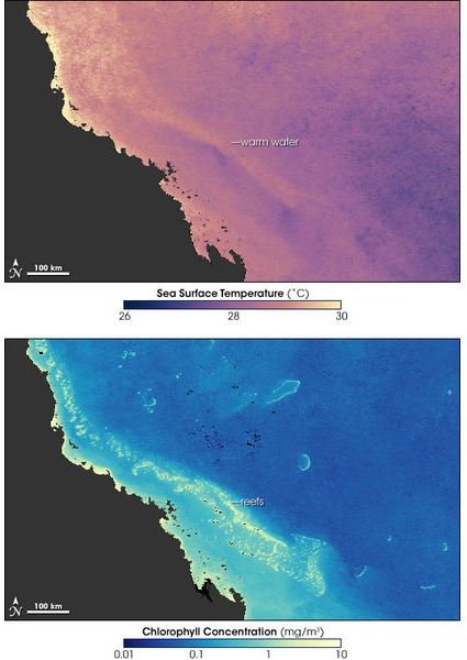 415px-GBReef TempChlorophyll 200602