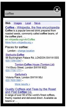 Marketplace Alternatives to the Native Windows Phone Search Tools