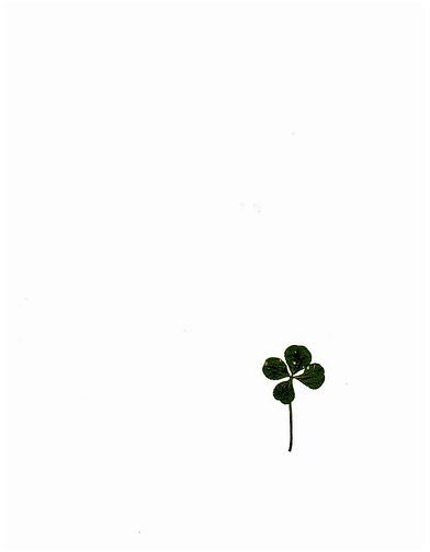 Four leaf clovers symbolize luck and good fortune.