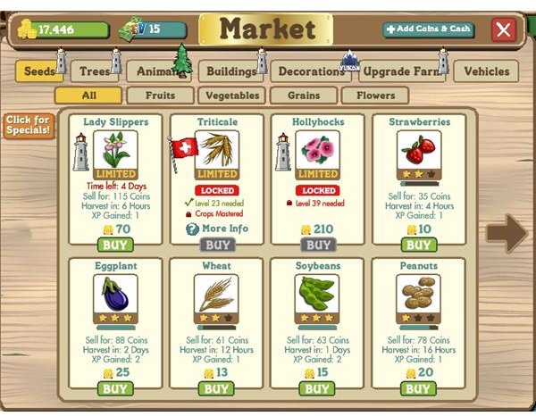 Seeds in the Market