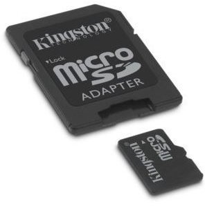 Professional Kingston MicroSD 2GB