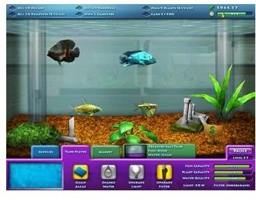 Business Simulation Games - FishCo