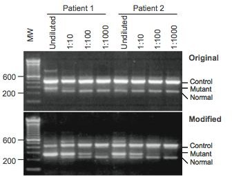 Figure 3 - Results of the ARMS-PCR