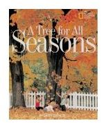 A Tree For All Seasons by Robin Bernard