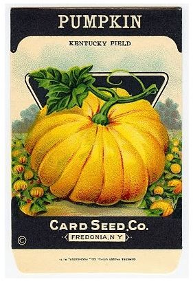 The Graphics Fairy Pumpkin Seeds