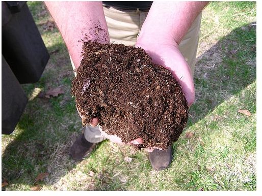 repurpose kitchen scraps into compost for fertile soil