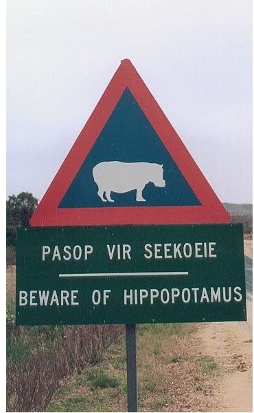 Beware of Hippopotamus