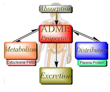 PharmacoKinetics Database