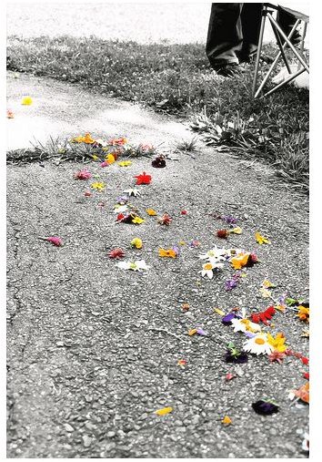 Wedding Petals Selective Colorization