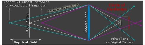 Understanding the Circle of Confusion to Take Better Photographs