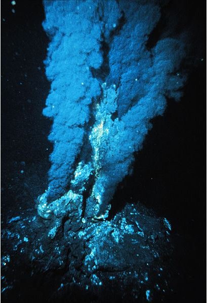 Hydrothermal vent.