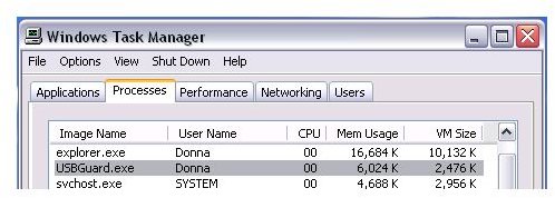 Virtual Memory Usage