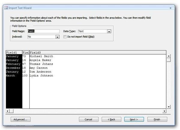 Define Field Information