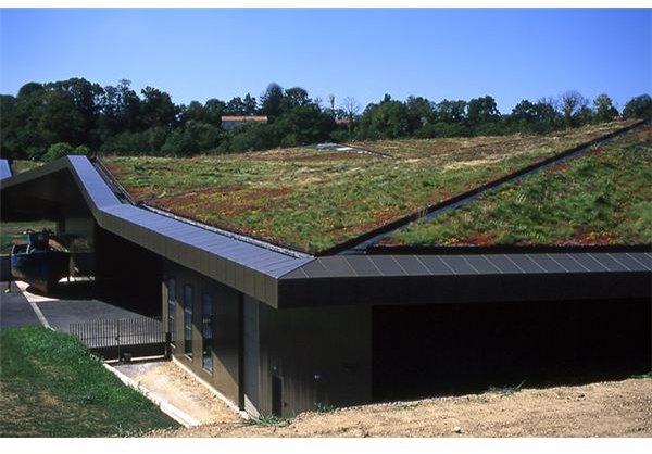 Benefits of Green Roofs: What is the Purpose of Green Roof Technology?