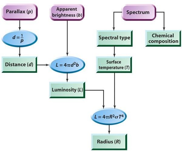 Chart Flow of Luminosity, Radius, Spectra