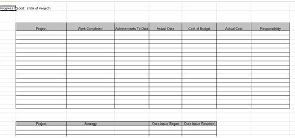 screenshot project management progress report template