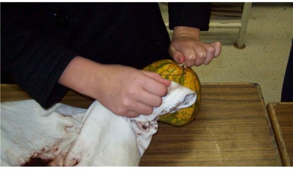 Gourd buffing