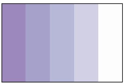 White in Monochromatic Purple Scheme