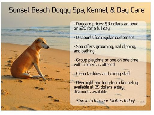 Doggy Daycare Postcard