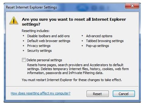 Figure 2: Internet Explorer Reset