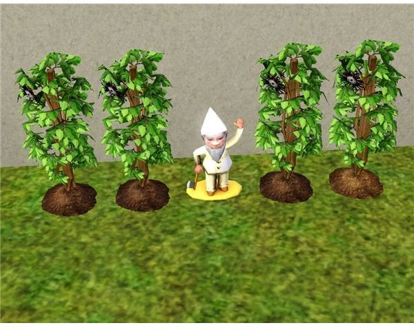 Sims 3 Death Flower Gardening