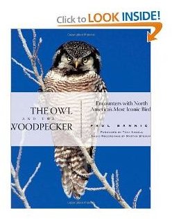 Science For Preschool: Woodpeckers Including Six Activities