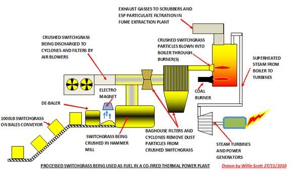 Pros and Cons of Switchgrass as a Biomass for Fuel