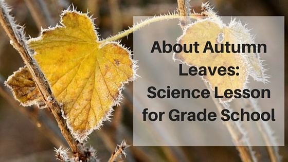 Color Me Curious: Science Lesson on Autumn Leaves For Grade School Students