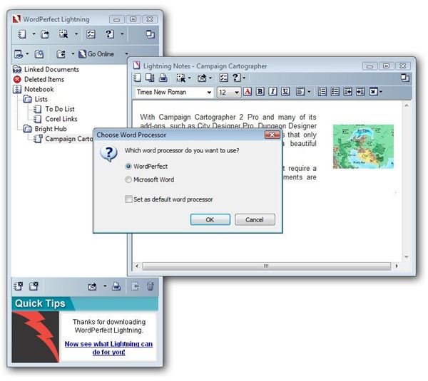 Move Lightning Snapshot to Word Processor