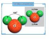 Water Molecule