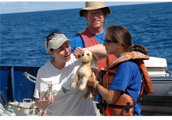 Miriam Goldstein, Jesse Powell, and Chelsea Rochman rescue a toy stuffed dog from a ghost net. 