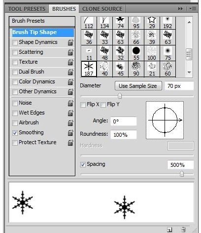 Brush Tip Shape