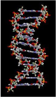 DNA animation