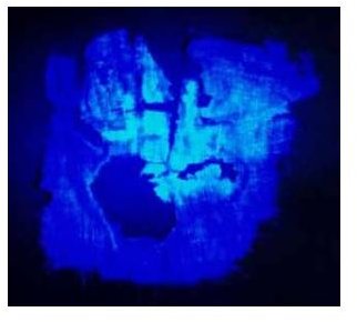 UV image of a Hopewell textile that was taken from one of the Seip burial mounds in southern ohio - Photo taken by Christel Baldia and Kathryn Jakes, courtesy of the Journal of Archaeological Science