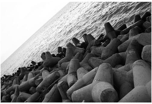 tetrapods