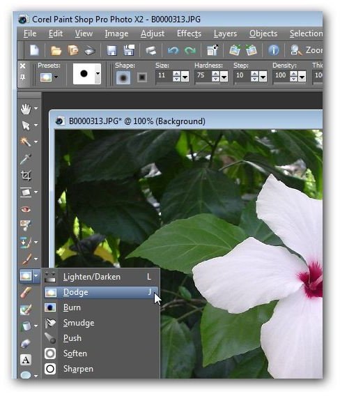 How to Use the Dodge and Burn Brushes in Paint Shop Pro to Enhance Your Digital Photos