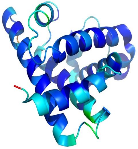 Facts About Proteins and Protein Structure