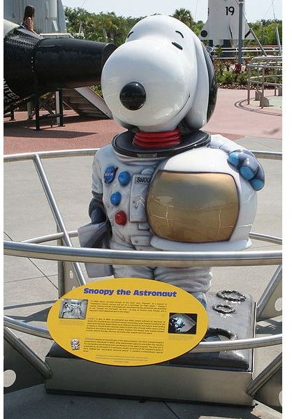 About NASA and Mascot Snoopy